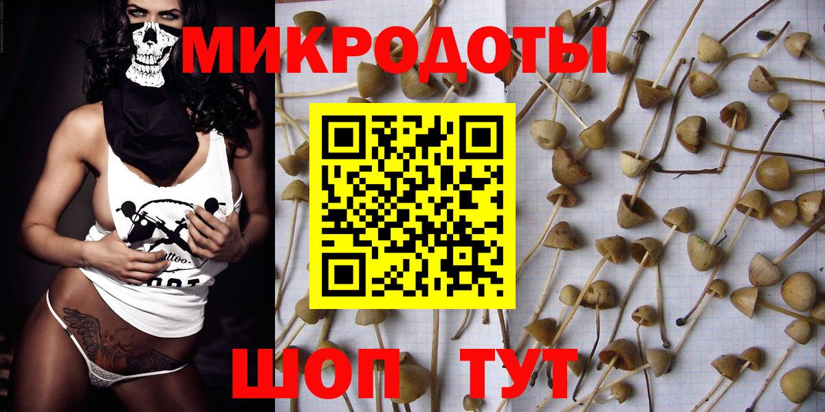 Псилоцибиновые грибы Cubensis Фурманов