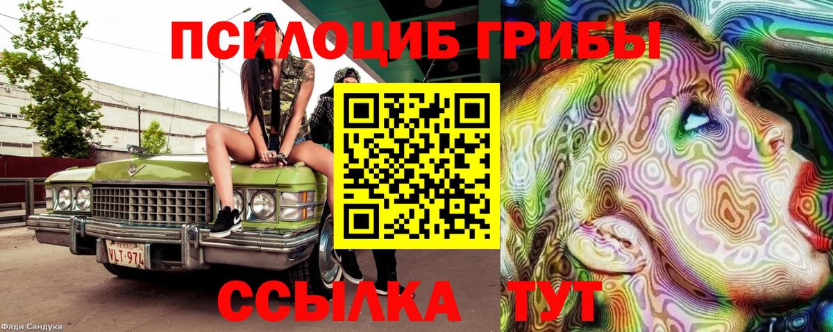 Галлюциногенные грибы Cubensis  Псилоцибиновые грибы ЛСД  Вход с VPN  Фурманов 